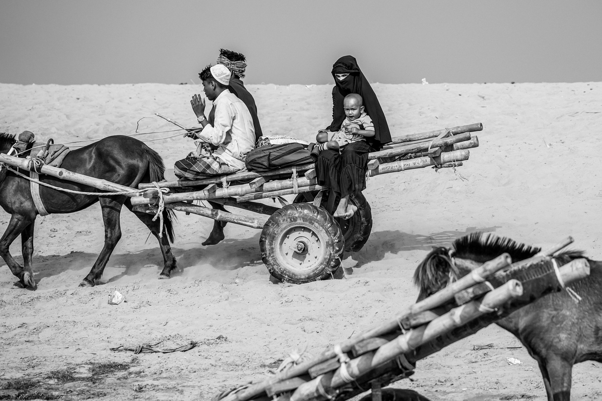 Journey Through the Dust