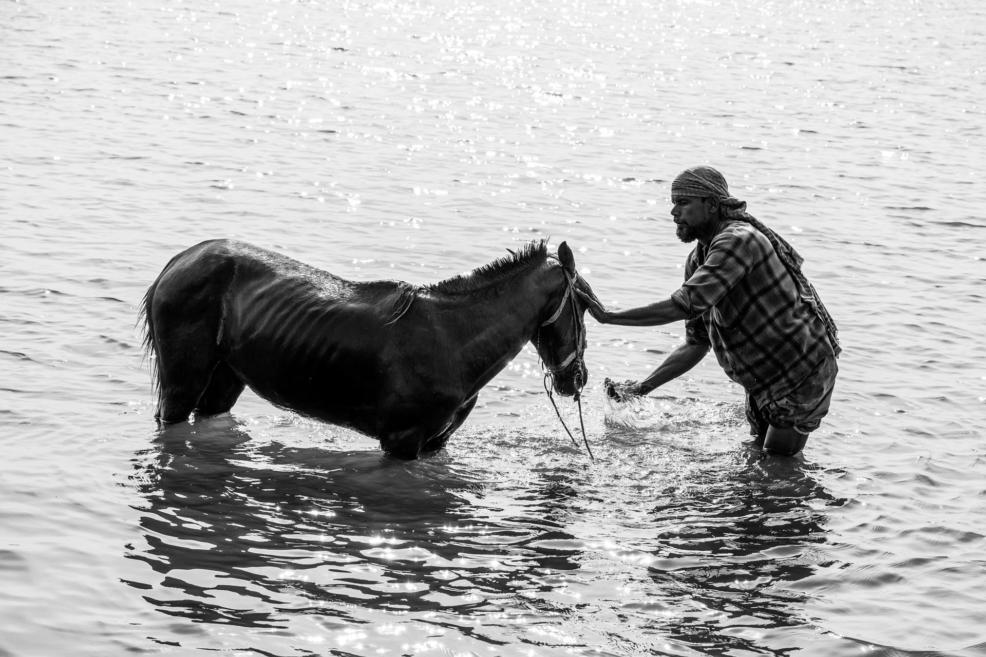 Bathing the Companion