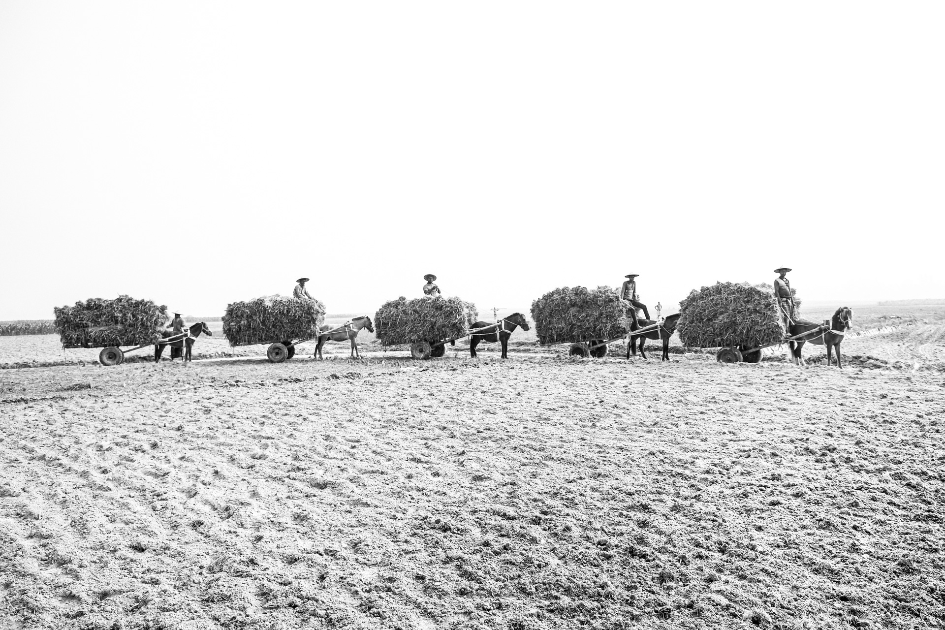 Harvest Caravan