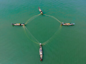 Net Formation