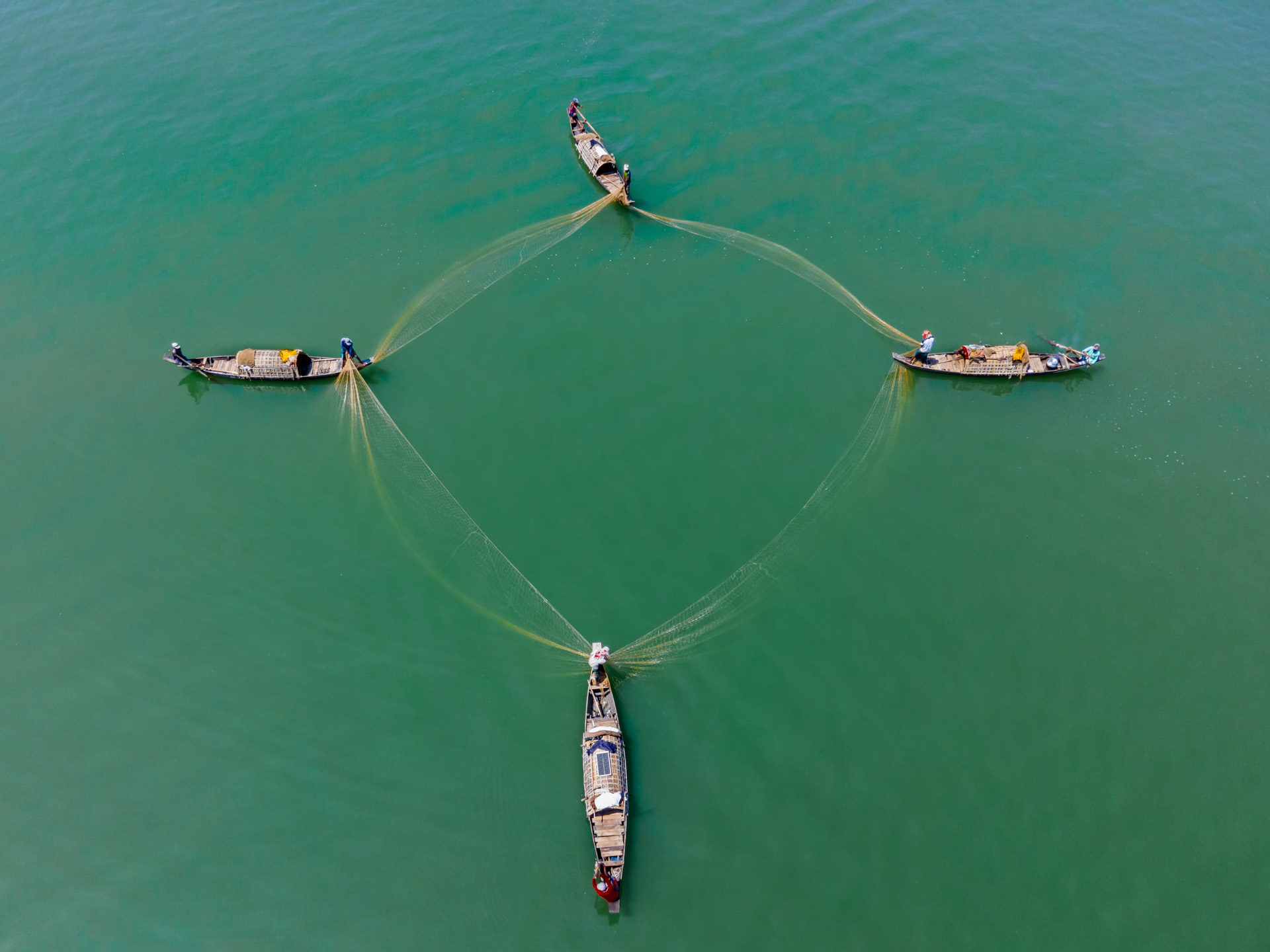 Net Formation