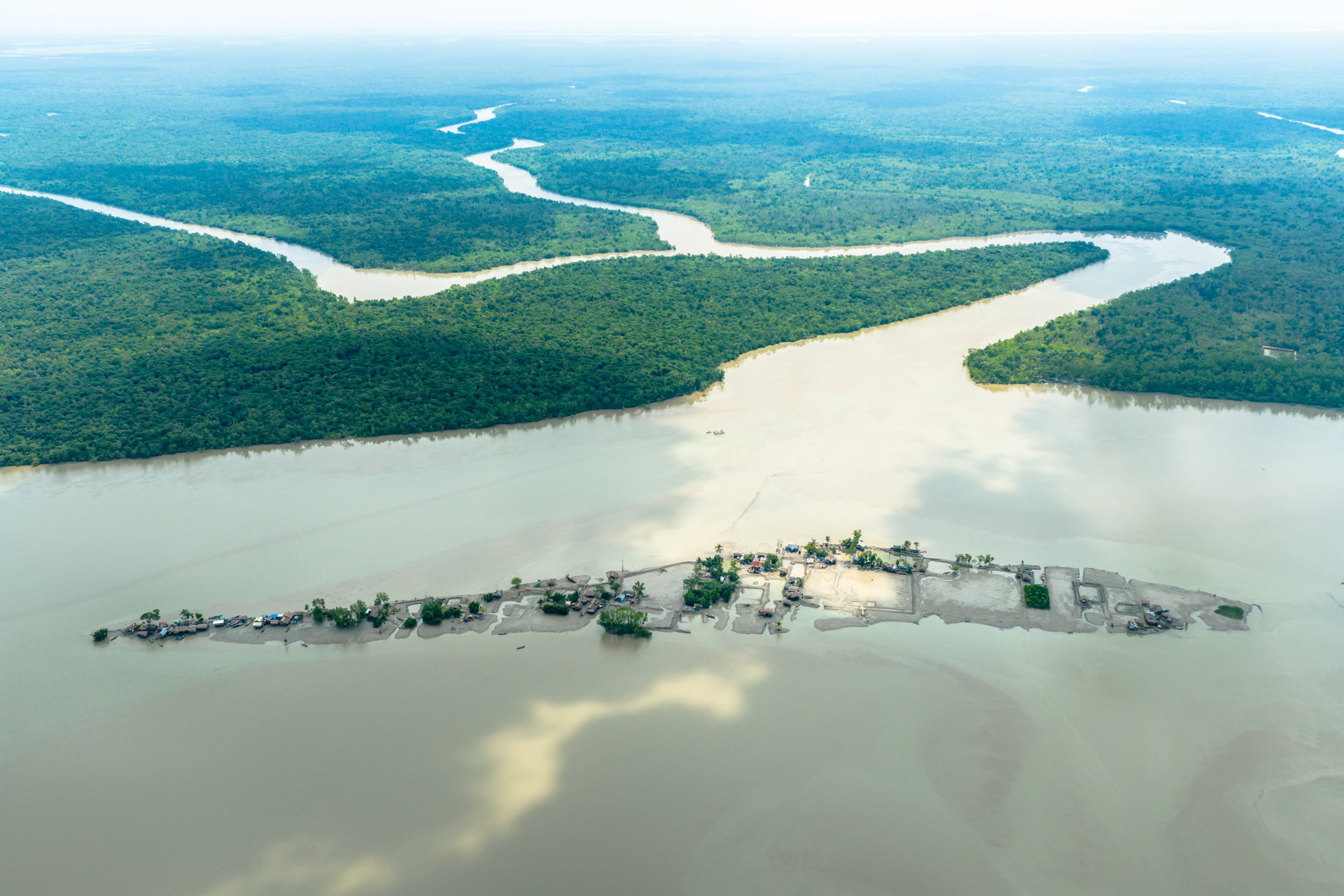 Mangrove Delta