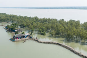 Flooded Mangroves